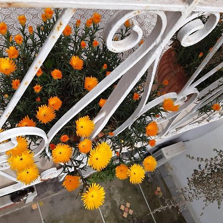 La Casa Di Rosa - Casa Vacanze Мета Экстерьер фото